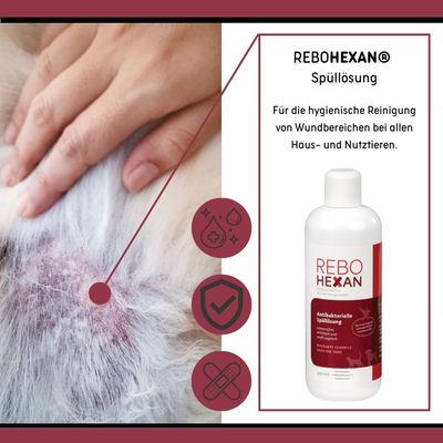 ReboHexan Spüllösung