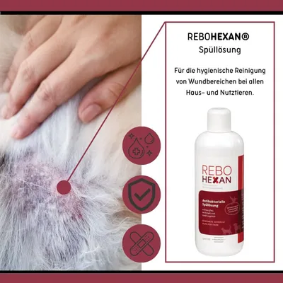 ReboHexan Spüllösung ReboHexan Spüllösung