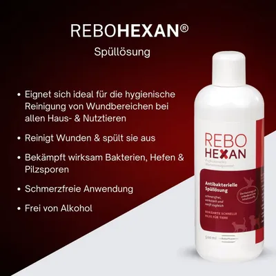 ReboHexan Spüllösung ReboHexan Spüllösung