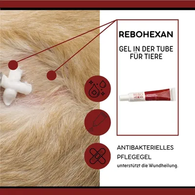 ReboHexan Pflegegel