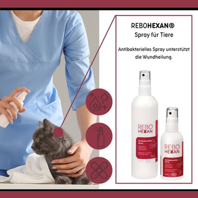 ReboHexan Wundspray