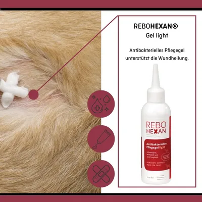 ReboHexan Gel light