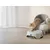 AIRSTEP