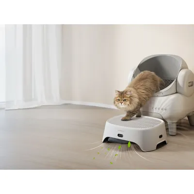 AIRSTEP