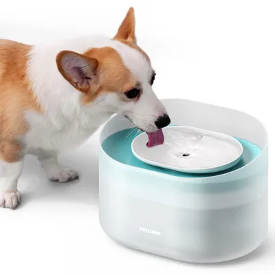 PETLIBRO Fontaine à eau pour chien Capsule PETLIBRO Fontaine à eau pour chien Capsule