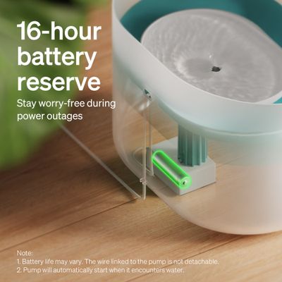 PETLIBRO Fontaine à eau pour chien Capsule