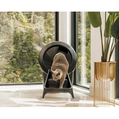 Rampe Litter-Robot 4 - Noir, Whisker