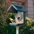 BIRDBUDDY Caméra de surveillance - Mangeoire à Oiseaux Intelligente Solaire