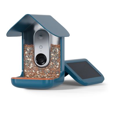 BIRDBUDDY Caméra de surveillance - Mangeoire à Oiseaux Intelligente Solaire