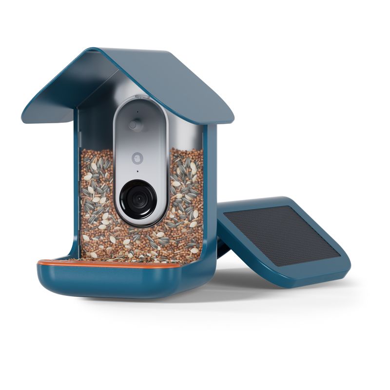 BIRDBUDDY Caméra de surveillance - Mangeoire à Oiseaux Intelligente Solaire