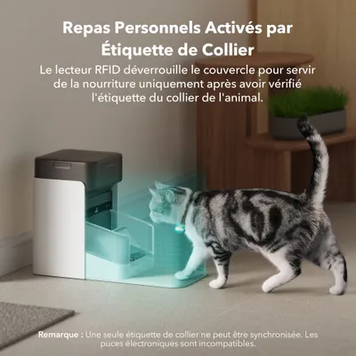 PETLIBRO Distributeur de croquettes automatique One RFID PETLIBRO Distributeur de croquettes automatique One RFID