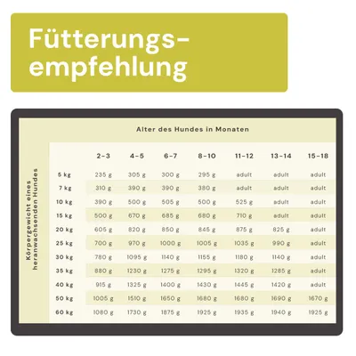 Graf Barf Juniormenü Plus Hähnchen Paket Graf Barf Juniormenü Plus Hähnchen Paket