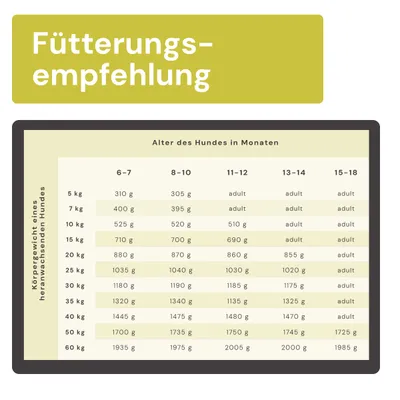 Graf Barf Juniormenü Rind Paket Graf Barf Juniormenü Rind Paket