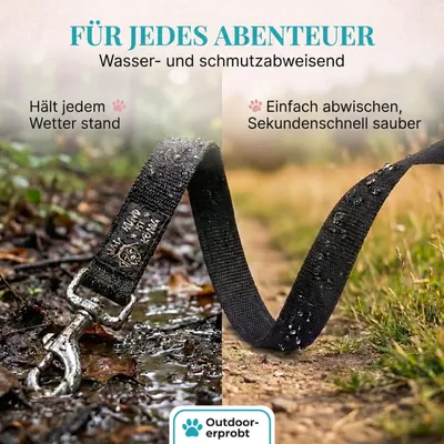 HUND IST KÖNIG 10m Schleppleine Hund mit gepolsterter Handschlaufe HUND IST KÖNIG 10m Schleppleine Hund mit gepolsterter Handschlaufe
