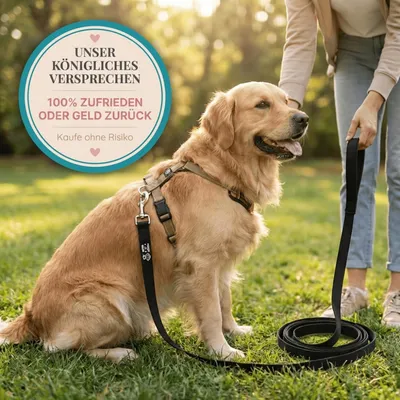 HUND IST KÖNIG 10m Schleppleine Hund mit gepolsterter Handschlaufe HUND IST KÖNIG 10m Schleppleine Hund mit gepolsterter Handschlaufe