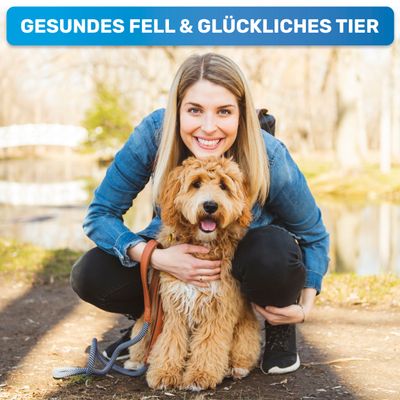 BluePet Hundekamm & Katzenkamm, Bürste für Hunde & Katzen, Kamm bei Knoten