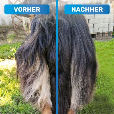 BluePet Hundekamm & Katzenkamm, Bürste für Hunde & Katzen, Kamm bei Knoten