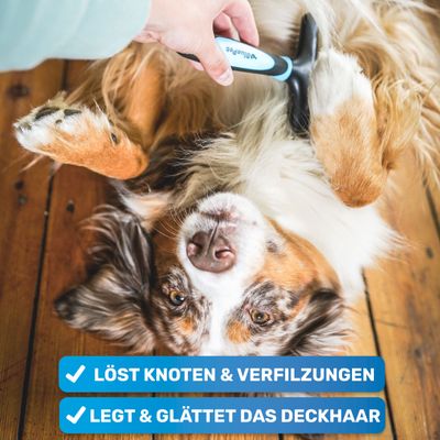 BluePet Hundekamm & Katzenkamm, Bürste für Hunde & Katzen, Kamm bei Knoten