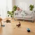 PawHut Intelligenz Katzenspielzeug