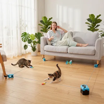 PawHut Intelligenz Katzenspielzeug