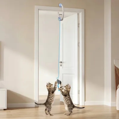 PawHut Intelligenz Katzenspielzeug