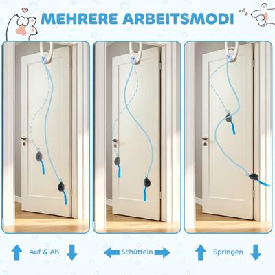 PawHut Intelligenz Katzenspielzeug