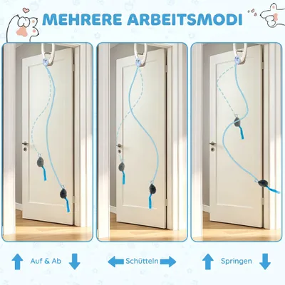 PawHut Intelligenz Katzenspielzeug