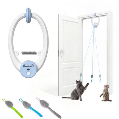 PawHut Intelligenz Katzenspielzeug