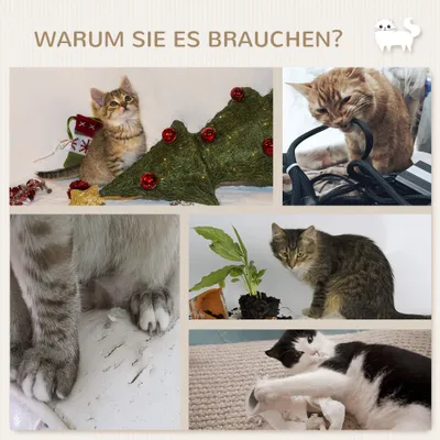 PawHut Kletterwand