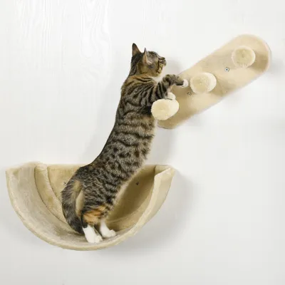 PawHut Kletterwand