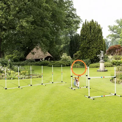PawHut Agility Set Hunde