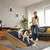 PawHut Hundewippe