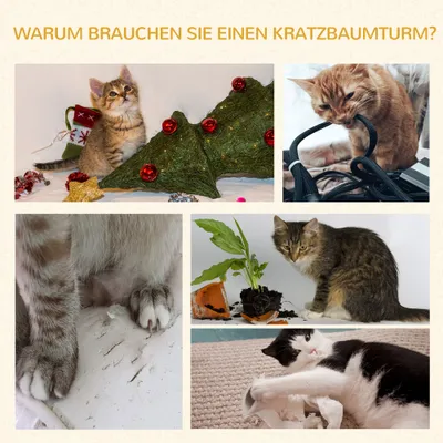 PawHut Kratzbaum