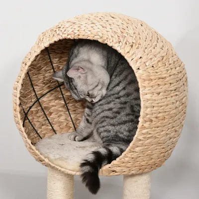 PawHut Kratzbaum