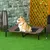 PawHut Hundeliege