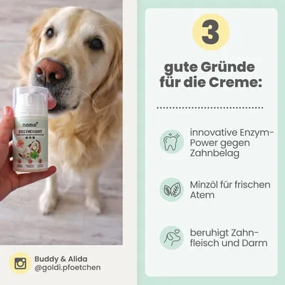 Enzymodent: Enzymatische Zahnpasta für Hunde mit natürlicher Pflege Enzymodent: Enzymatische Zahnpasta für Hunde mit natürlicher Pflege