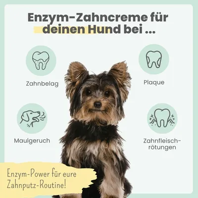Enzymodent: Enzymatische Zahnpasta für Hunde mit natürlicher Pflege Enzymodent: Enzymatische Zahnpasta für Hunde mit natürlicher Pflege
