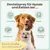 Dentalspray bei Zahnstein für Hunde und Katzen Dentalspray bei Zahnstein für Hunde und Katzen
