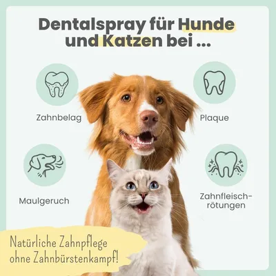 Dentalspray bei Zahnstein für Hunde und Katzen Dentalspray bei Zahnstein für Hunde und Katzen