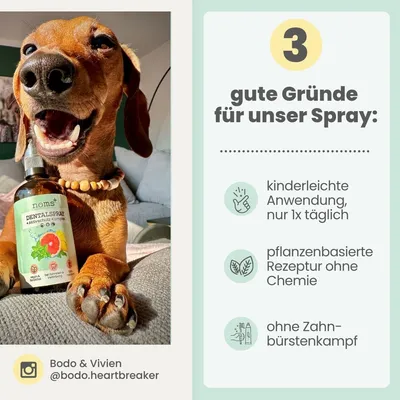 Dentalspray bei Zahnstein für Hunde und Katzen Dentalspray bei Zahnstein für Hunde und Katzen