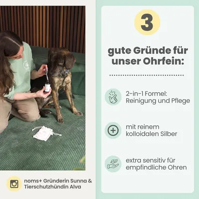 2-in-1 Ohrfein Reinigung & Pflege für Hunde & Katzen mit kolloidalem Silber 2-in-1 Ohrfein Reinigung & Pflege für Hunde & Katzen mit kolloidalem Silber