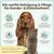 2-in-1 Ohrfein Reinigung & Pflege für Hunde & Katzen mit kolloidalem Silber 2-in-1 Ohrfein Reinigung & Pflege für Hunde & Katzen mit kolloidalem Silber