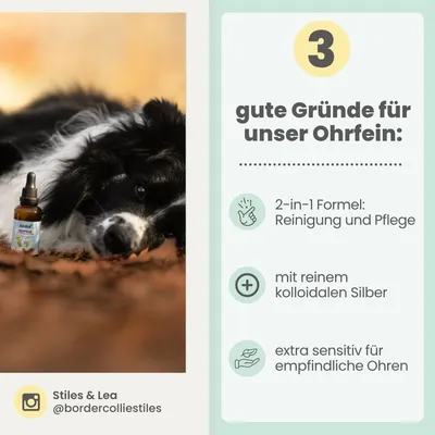 2-in-1 Ohrfein Reinigung & Pflege für Hunde & Katzen mit kolloidalem Silber 2-in-1 Ohrfein Reinigung & Pflege für Hunde & Katzen mit kolloidalem Silber