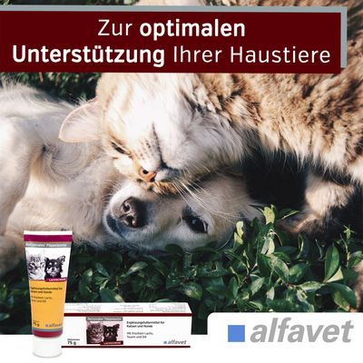 Alfavet ReConvales Päppelpaste