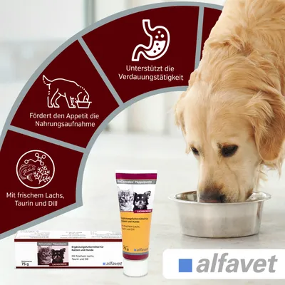Alfavet ReConvales Päppelpaste Alfavet ReConvales Päppelpaste