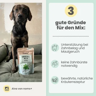 Dentalmix für Hunde zur Zahnpflege und für frischen Atem Dentalmix für Hunde zur Zahnpflege und für frischen Atem