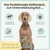 Probio Belly Snacks für Hunde mit BIOTICS³-Komplex: Sodbrennen, Grasfressen Probio Belly Snacks für Hunde mit BIOTICS³-Komplex: Sodbrennen, Grasfressen