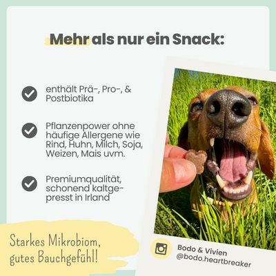 Probio Belly Snacks für Hunde mit BIOTICS³-Komplex: Sodbrennen, Grasfressen