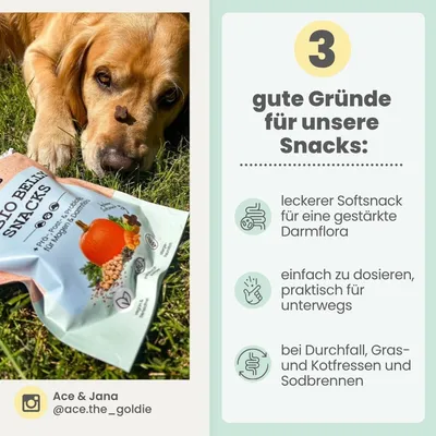 Probio Belly Snacks für Hunde mit BIOTICS³-Komplex: Sodbrennen, Grasfressen Probio Belly Snacks für Hunde mit BIOTICS³-Komplex: Sodbrennen, Grasfressen