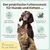 Gelenkmix Sensitiv & vegan für Hunde und Katzen mit Teufelskralle, Kurkuma